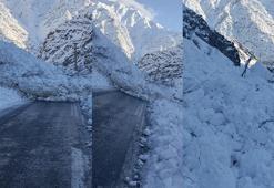 Hakkari-Çukurca kara yoluna çığ düştü
