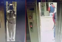 Kaskla apartmana giren şüpheli idrarını yapıp, damdaki kuşları çaldı; o anlar kamerada