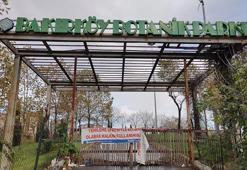 Bakırköy'de botanik parkta hayvan ölümleri iddiası