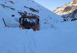 Van'da çığ nedeniyle kapanan mahalle yolu ulaşıma açıldı