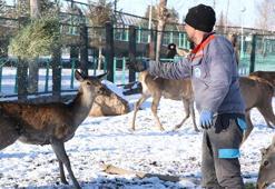 Hayvanat bahçesindeki canlılara ‘kış rasyonu’