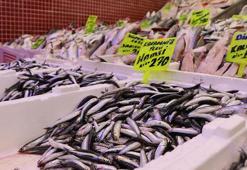 ‘Soğuk hava nedeniyle hamsiler Gürcistan açıklarına gitti’