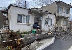 Fırtınada devrilen ağaç evin çatısına zarar verdi
