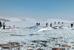 Batman’da yaban hayvanları için doğaya 1 ton yem bırakıldı