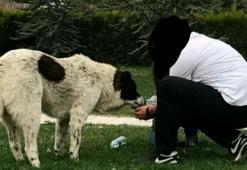 'Matmazel'in darbedilerek öldürüldüğü iddiasına soruşturma