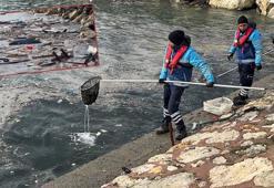 Avcılar'da lodosla kıyıya taşınan yosun ve çöpler temizlendi