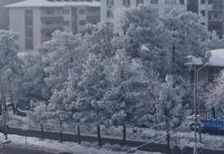 Diyarbakır'da yoğun sis; görüş mesafesi 15 metreye düştü, uçak seferleri aksadı