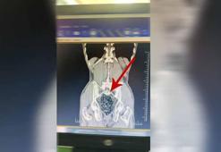 Yolcunun midesinden 472 gram metamfetamin çıktı