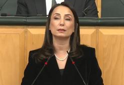 DEM Parti'li Hatimoğulları: Barış, oy hesabına ve seçim takvimine kurban edilemez