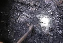 Taş kömüründe nadir toprak elementi araştırması yapılacak