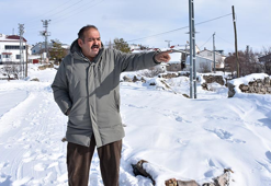 Yaban hayvanları, köpeksiz köyü mesken tuttu