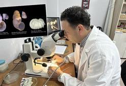 Prof. Dr. Odabaşı, 13 yılda 29 endemik türü literatüre kazandırdı