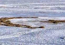 Karla kaplı arazide ay yıldız oluşturdu