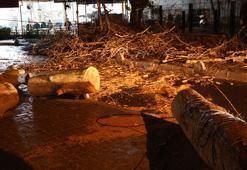 İzmir'de şiddetli rüzgar: Otomobilin üzerine ağaç devrildi