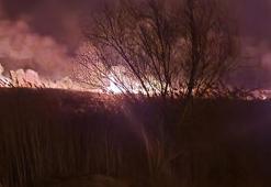 Eber Gölü'nde 5 farklı noktada yangın çıktı