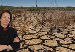 'Yer altı suyunun aşırı kullanımı kuraklığı kalıcılaştırıyor'