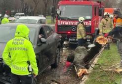 Bakırköy'de rüzgar nedeniyle kopan ağaç dalı otomobilin üzerine düştü; 4 araç birbirine girdi