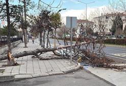 Tekirdağ'da fırtına; eğitim uçuşları iptal edildi, balıkçılar denize açılamadı