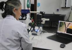 Kayseri’de müzedeki ve kazı çalışmalarında bulunan eserler konservasyon laboratuvarında temizleniyor