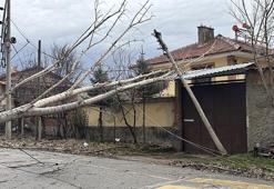 Kütahya’da kuvvetli fırtına nedeniyle ağaçlar devrildi