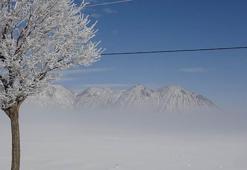 Bitlis’te sis etkili oluyor