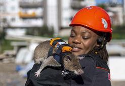 Sırt çantalı 'Kahraman fareler' enkaz altında nefes arayacak