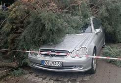 Gediz'de fırtına; ağaçlar devrildi, bina dış cephe kaplamaları söküldü