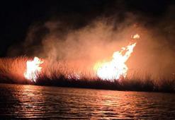 Milleyha Kuş Cenneti’nde sazlık yangını