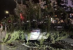Kayseri'de kuvvetli fırtınada otomobilin üzerine ağaç devrildi