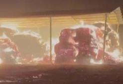 Unutulan ateşin közünden sıçrayan kıvılcımlar, çiftlikteki saman balyalarını yaktı