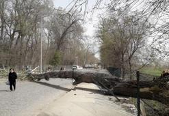 Marmara'da fırtına, Trakya'da şiddetli yağış bekleniyor