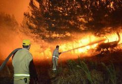 'Yangını durdurmak ve önlemek için geçiş kuşaklarını oluşturmak gerekiyor'