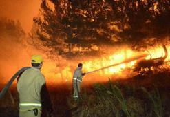 'Yangını durdurmak ve önlemek için geçiş kuşaklarını oluşturmak gerekiyor'