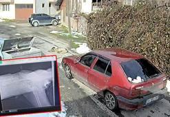 Yolda yatarken otomobilin ezdiği köpeğin, daha önce tüfekle de vurulduğu ortaya çıktı