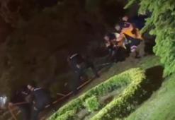 Zeytinburnu'nda devrilen ağacın altında kalan kişi hastaneye kaldırıldı