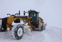 Van'da kar yağışı nedeniyle kapanan 278 yerleşim yerinin yolu açıldı