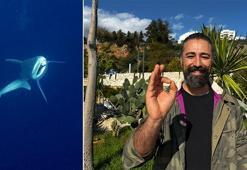 Camgöz köpek balığını dalgıçlar kurtardı