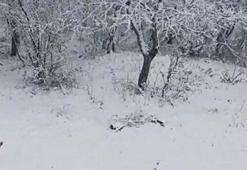Çanakkale'nin yüksek kesimlerinde kar yağışı