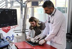 Hayvan hastaneleri 24 saat boyunca üst düzey ekipmanlarla hizmet veriyor