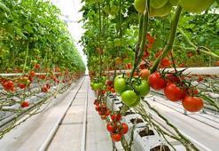 HEKTAŞ, ESG derecelendirmesinde ikinci olduğunu duyurdu