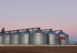 Mardin’de 9 kişinin tutuklandığı 137 bin tonluk buğday vurgununda depolar TMO’ya devredildi