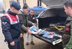 Kırklareli'de karaca avlayan kişiye 50 bin lira ceza