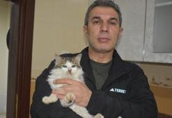 Dondurucu soğukta apartmandaki dairesini kedilere açtı