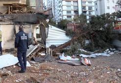 Maltepe’de kökünden kırılan ağaç park halindeki otomobilin üzerine devrildi