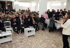 Tekirdağ'a kurulmak istenen angus çiftçiliğine belediye başkanları karşı çıktı