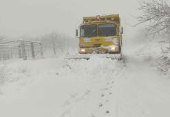 Malatya'da yüksek kesimlerde karla mücadele