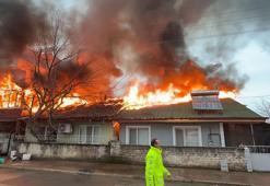 Tokat’ta yanan evdeki kedi itfaiye ekiplerince kurtardı