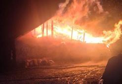 Sobadan çıkan yangın, evi küle çevirdi