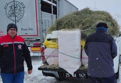 Tipide mahsur kalan TIR’daki hayvanlara saman ve ot götürüldü