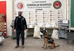 Edirne'de 117 kilo hap ele geçirildi; 5 gözaltı